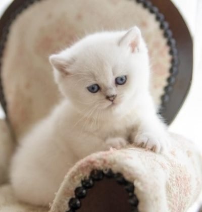 9cfd55d2-1662-4021-9fa8-22d7cb00710f